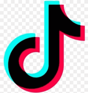 TikTok Logo