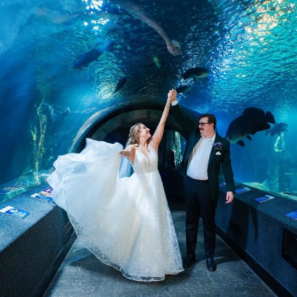Wedding Venue